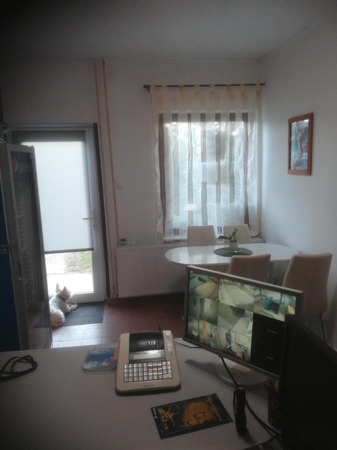 Hotel Fekete Macska Panzio Tata Esterno foto